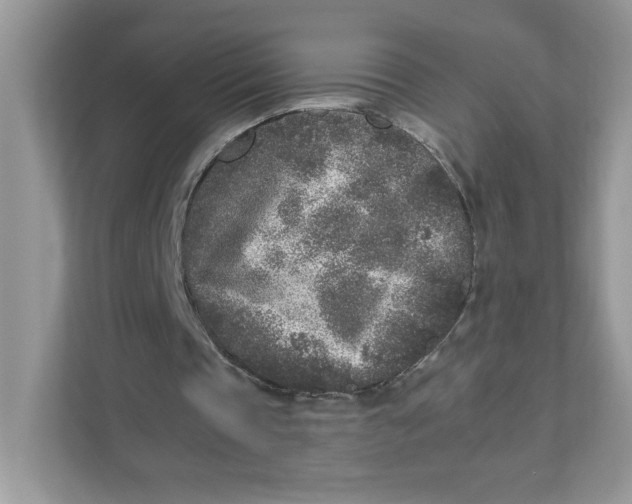 X0000110880337200907091426