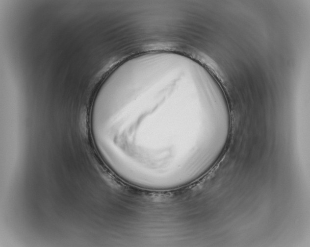 X0000110880345200907091426