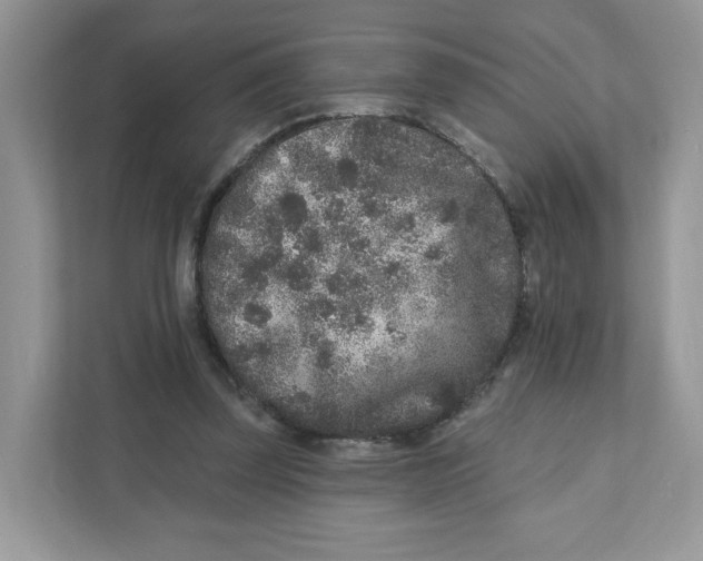 X0000110880347200907091426