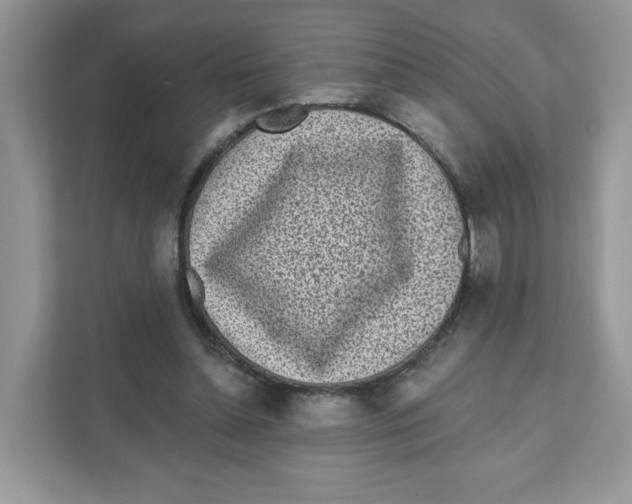 X0000110880348200907091426