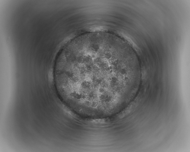 X0000110880353200907091426