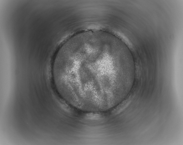 X0000110880354200907091426