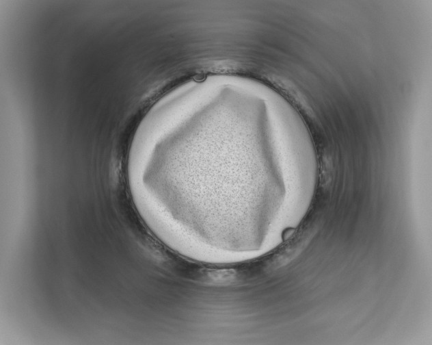 X0000110880355200907091426