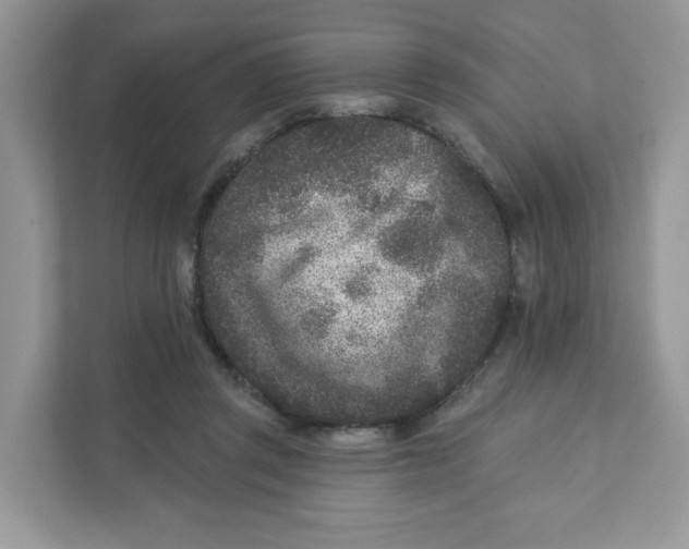 X0000110880357200907091426