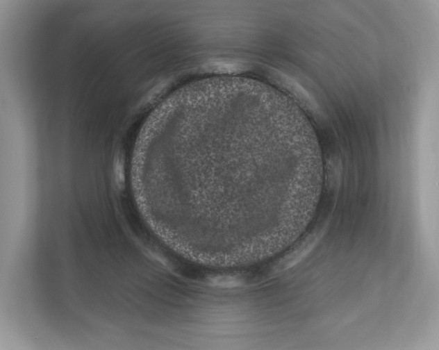 X0000110880358200907091426