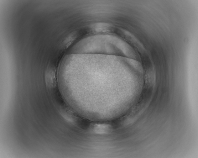 X0000110880360200907091426