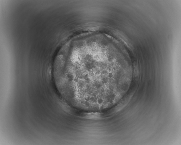 X0000110880363200907091426