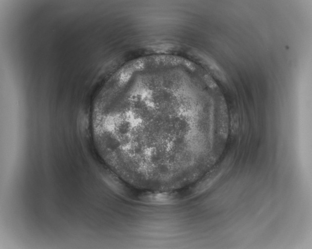 X0000110880365200907091426