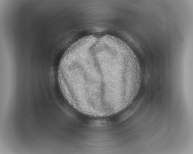 X0000110880366200907091426