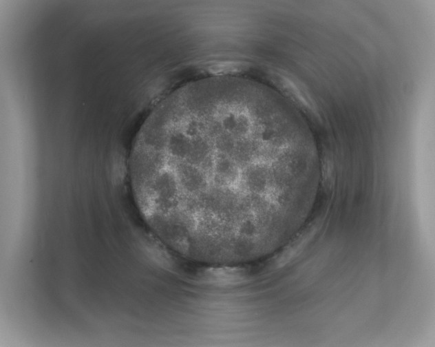 X0000110880367200907091426