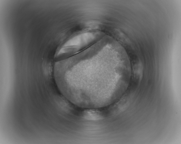 X0000110880372200907091426