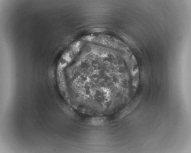 X0000110880373200907091426