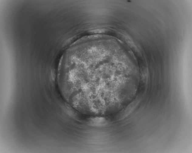 X0000110880374200907091426