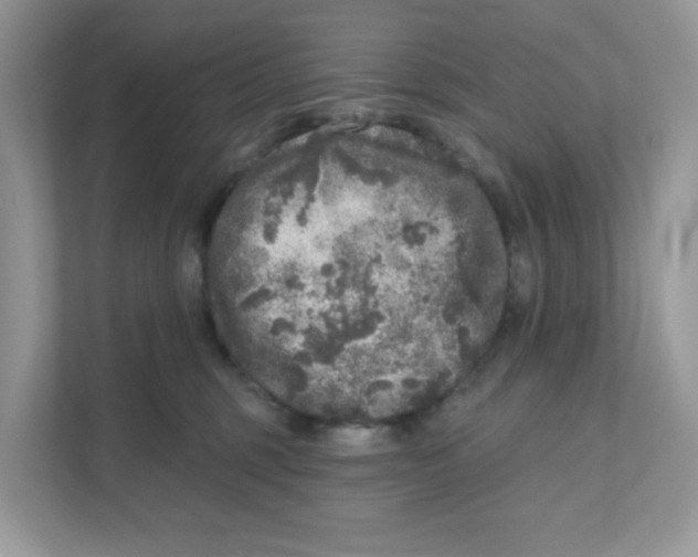 X0000110880375200907091426