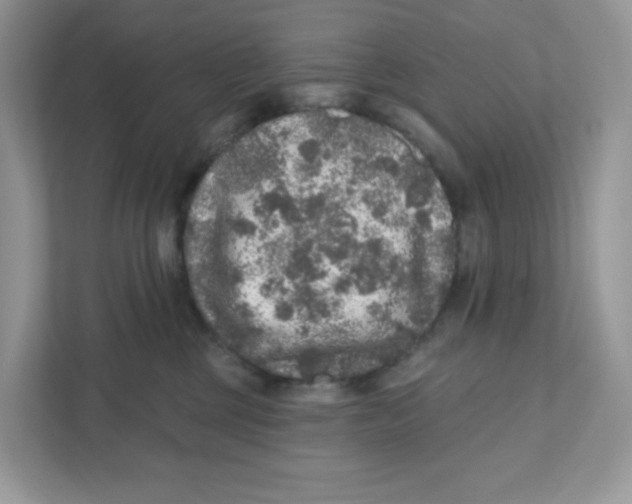 X0000110880377200907091426