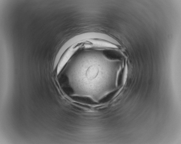 X0000110880380200907091426