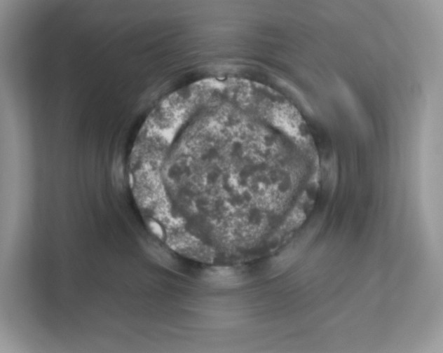 X0000110880381200907091426