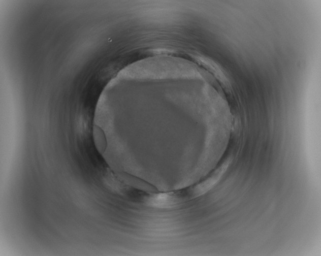 X0000110880382200907091426