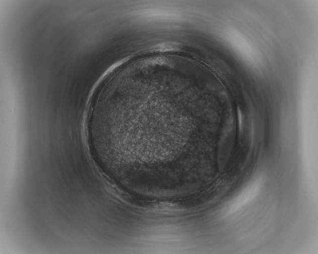 X0000110880387200907091426