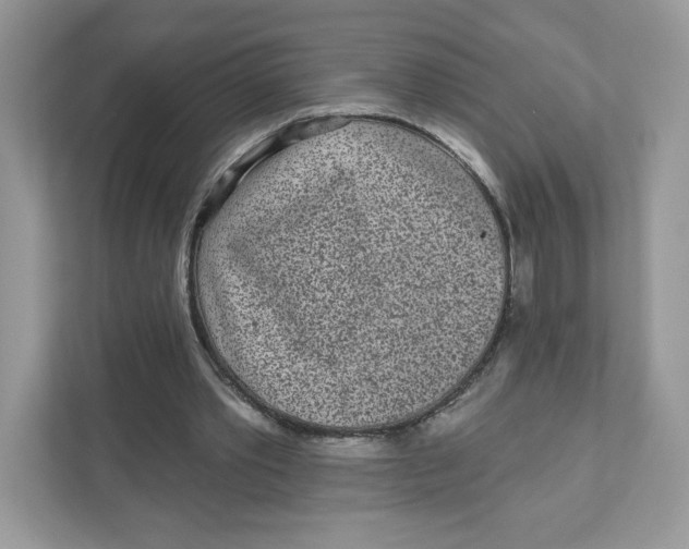 X0000110880389200907091426