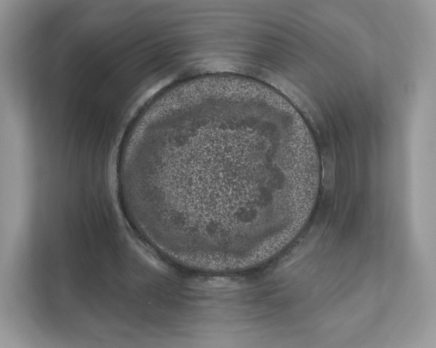 X0000110880390200907091426