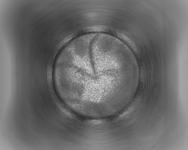 X0000110880394200907091426