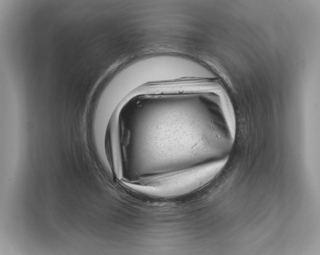 X0000110880395200907091425