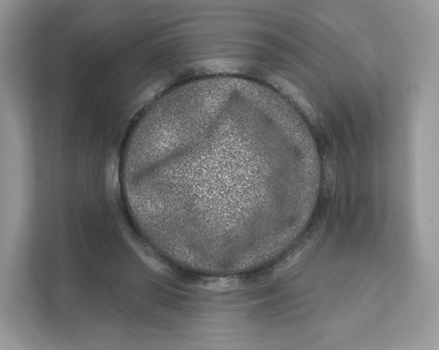 X0000110880398200907091425