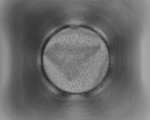 X0000110880399200907091425