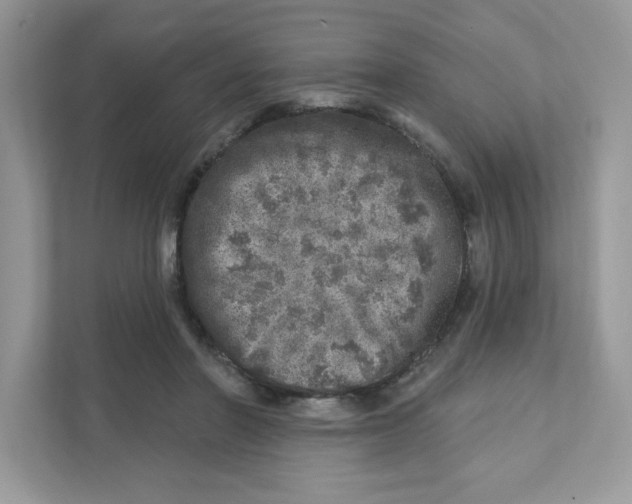 X0000110880406200907091425