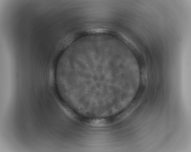 X0000110880410200907091425