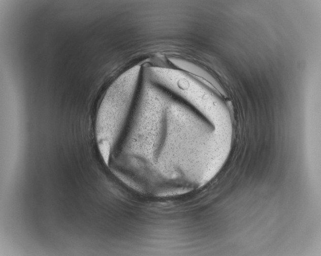 X0000110880411200907091425