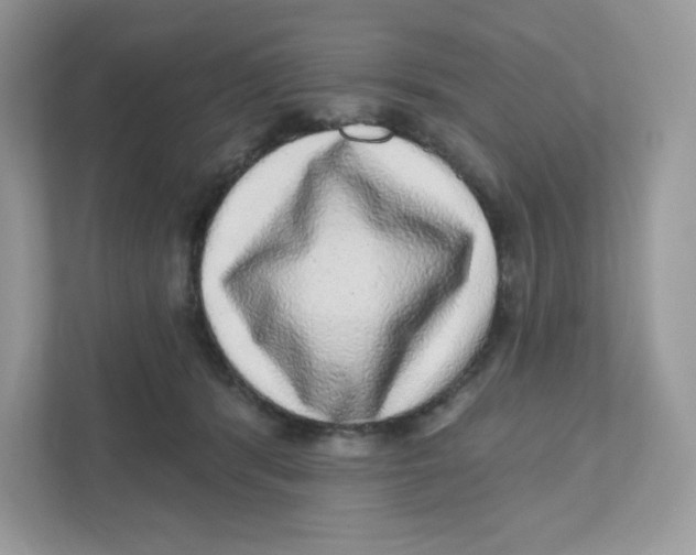 X0000110880416200907091425