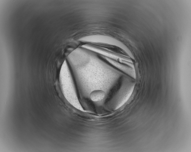 X0000110880417200907091425