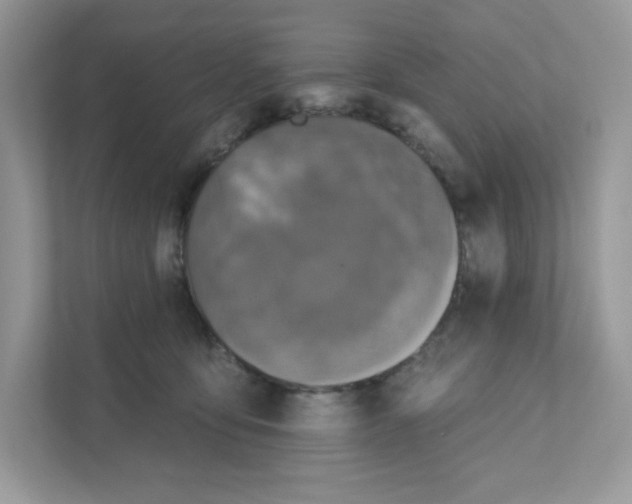 X0000110880419200907091425