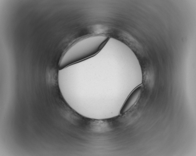 X0000110880421200907091425