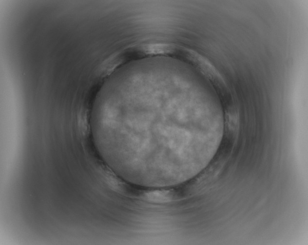 X0000110880422200907091425