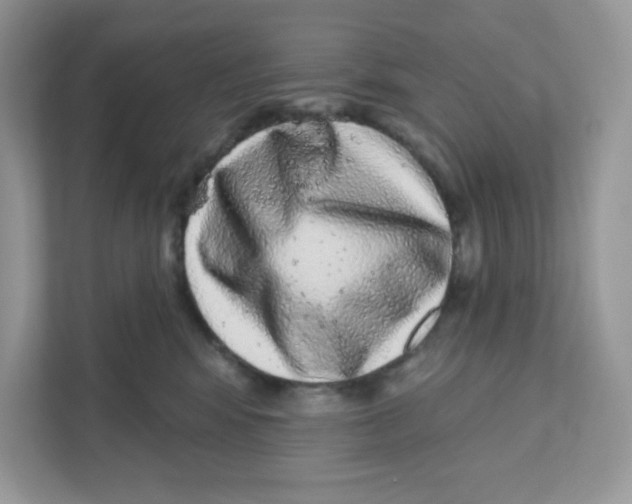 X0000110880424200907091425