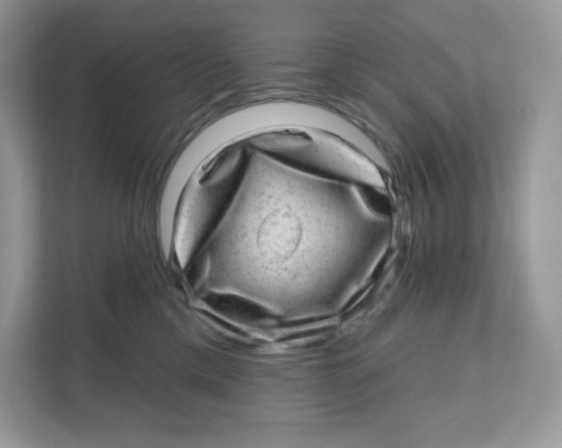 X0000110880425200907091425