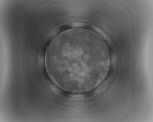 X0000110880426200907091425