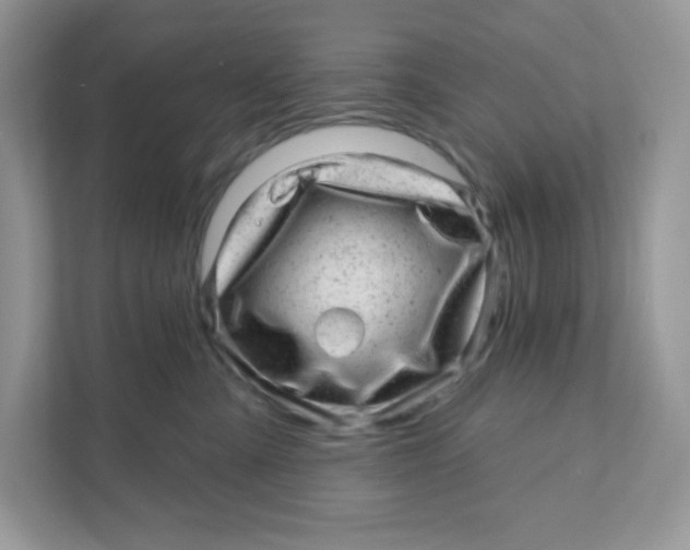 X0000110880427200907091425