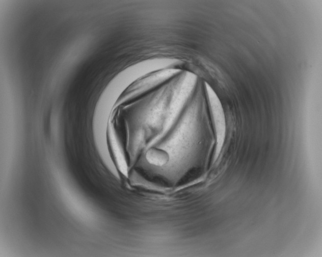 X0000110880429200907091425