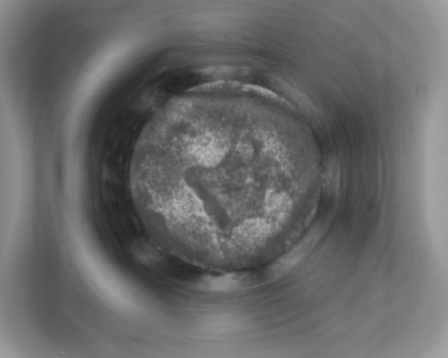 X0000110880430200907091425