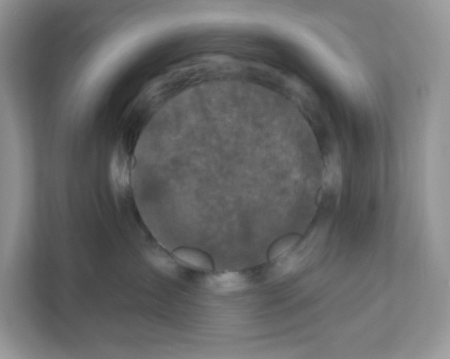 X0000110880431200907091425