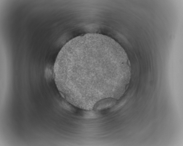 X0000110880432200907091425