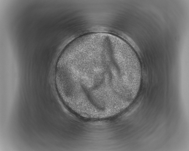 X0000110880433200907091424