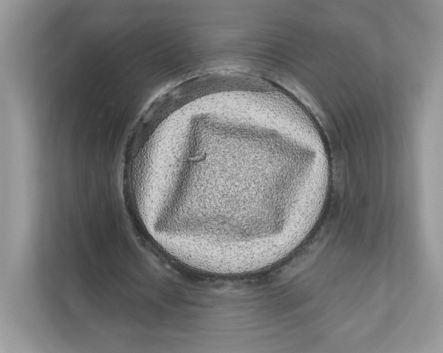 X0000110880434200907091424