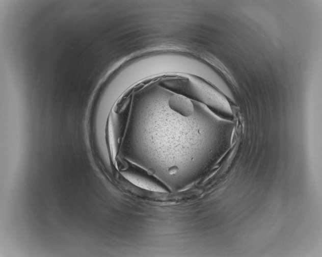 X0000110880436200907091424