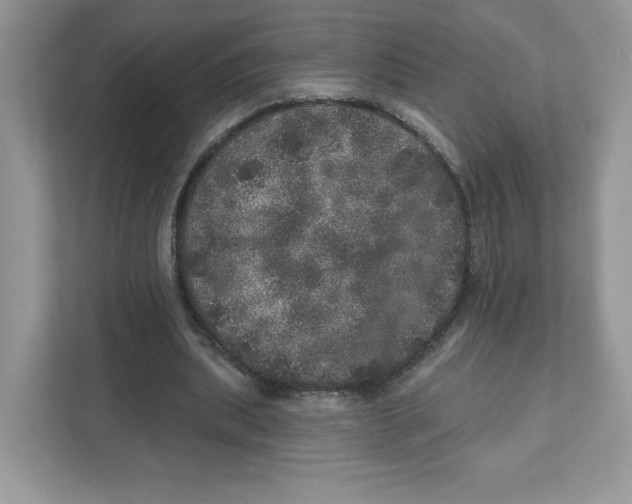 X0000110880439200907091424