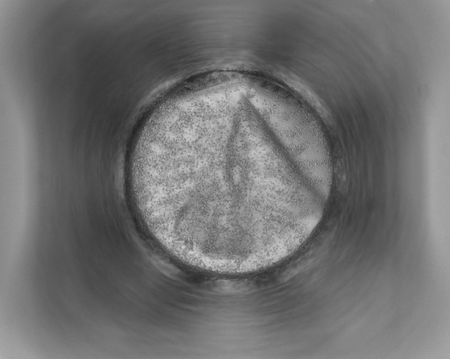 X0000110880442200907091424